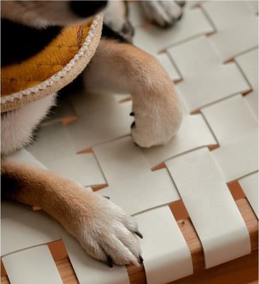 Hotel Design Nórdico Ceniça Sólida Madeira Cavalo Selha de Couro Assento Tecido Cadeira de Jantar Empilhável para Café e Restaurante Moderno